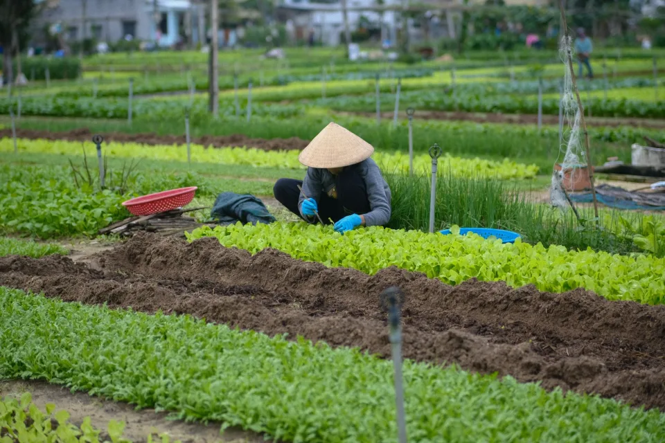 Bao hàng đã đóng gói cho khách