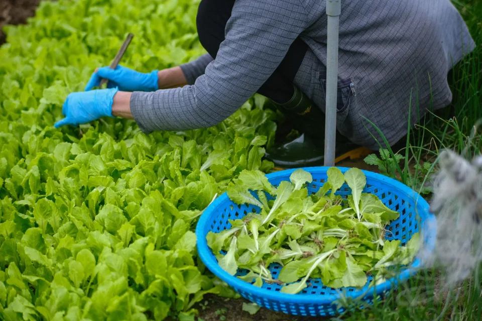 Kho bảo quản lạnh